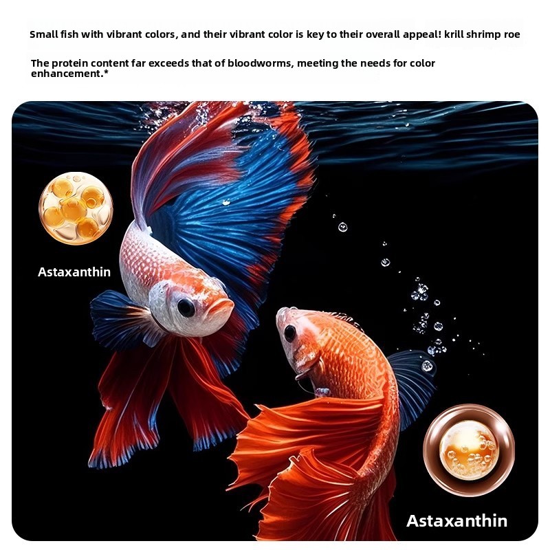 Yee Krill & Baby Shrimp Alimen - Dry Food Baby avaliação e preço